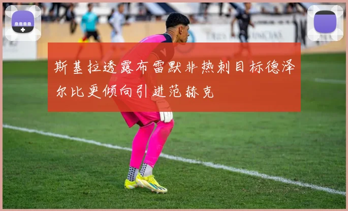 斯基拉透露布雷默非热刺目标德泽尔比更倾向引进范赫克